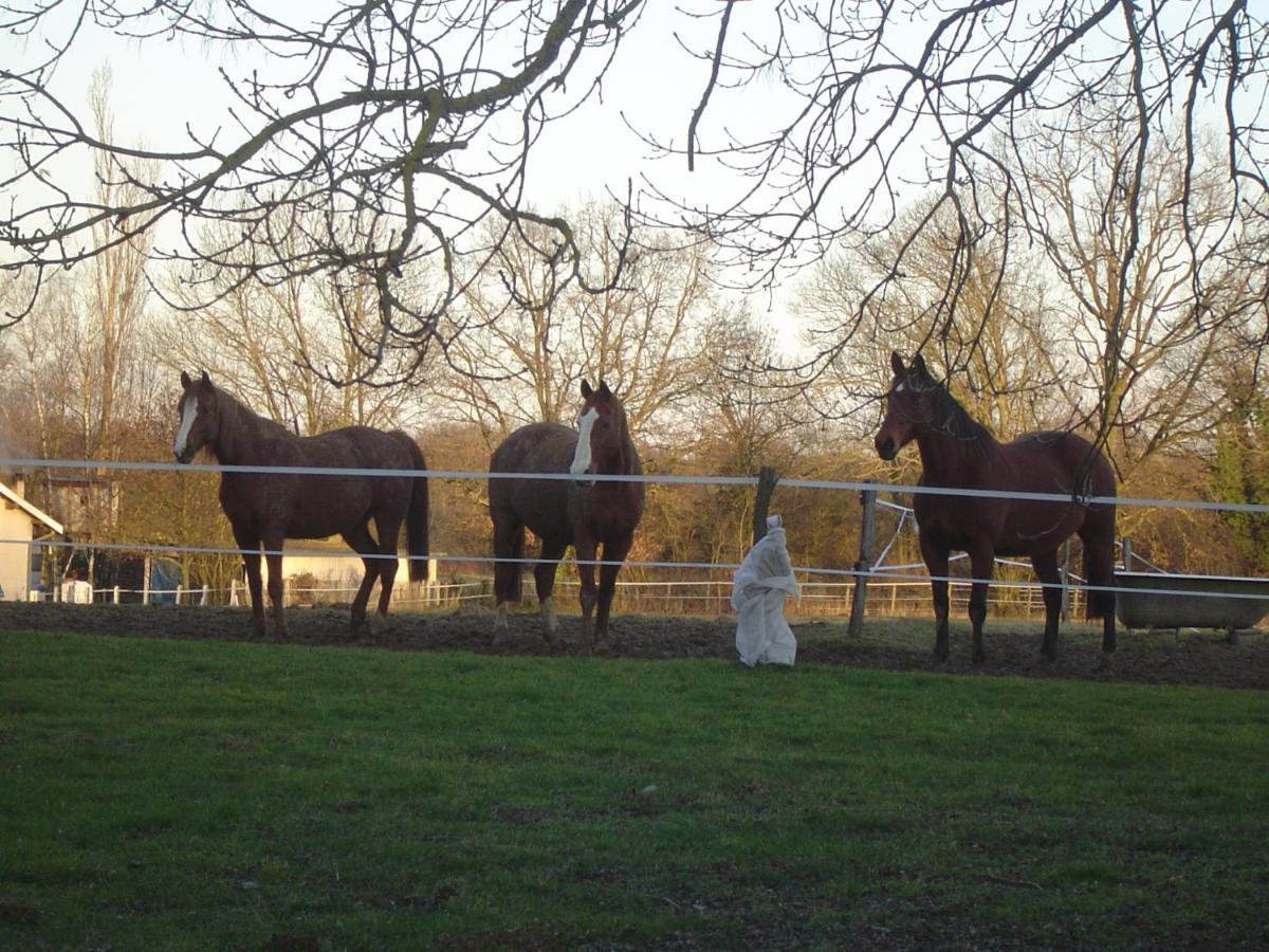 Ferme Passion Bed and Breakfast Saint-Trivier-sur-Moignans Exteriör bild