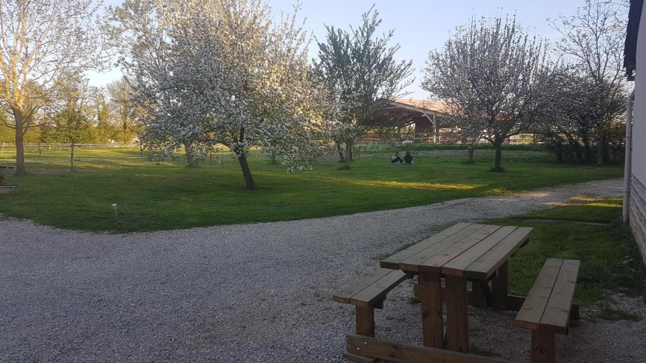 Ferme Passion Bed and Breakfast Saint-Trivier-sur-Moignans Exteriör bild